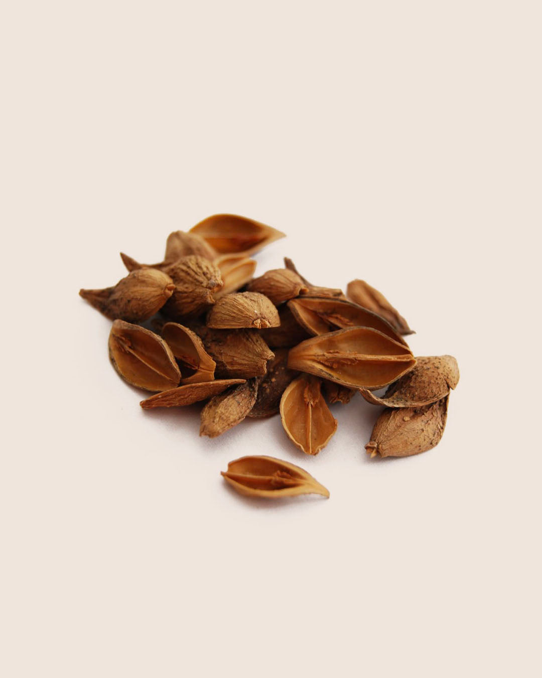 Adult-acne-ingredient2-Fructus Forsythia 连翘.jpg