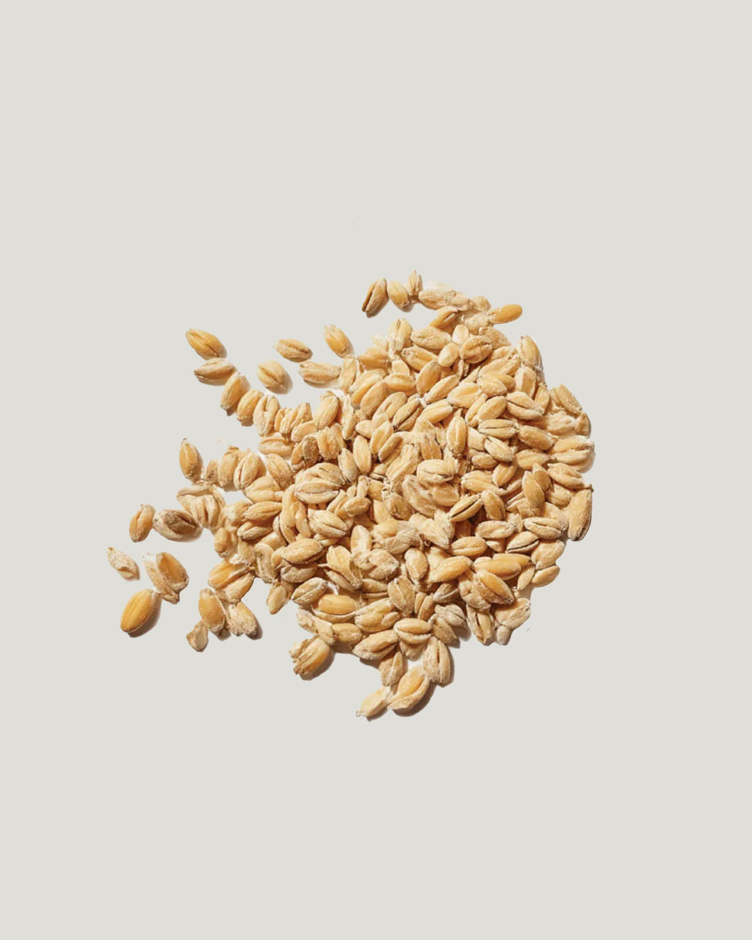 Aora-Joy ingredient1-Light Wheat Grain浮小麦.jpg
