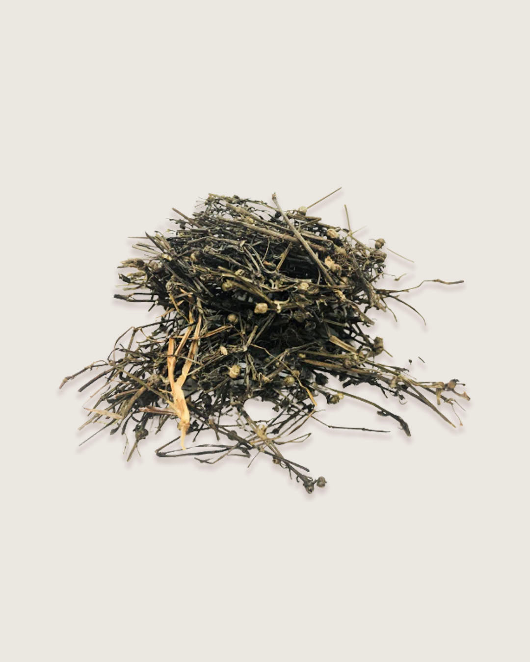 Cystic-acne-ingredient1-Herba Hedyotis Diffusae 白花蛇舌草.jpg
