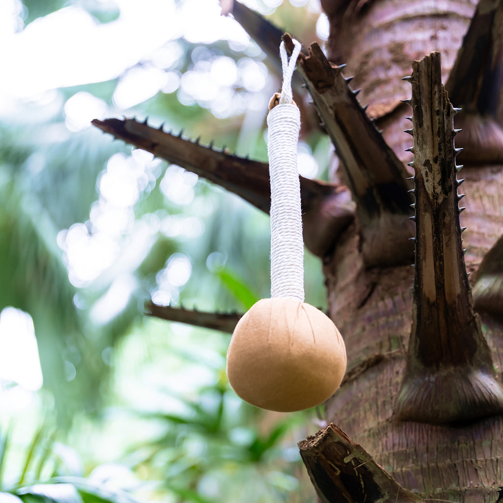 AŌRA Meridian Stick